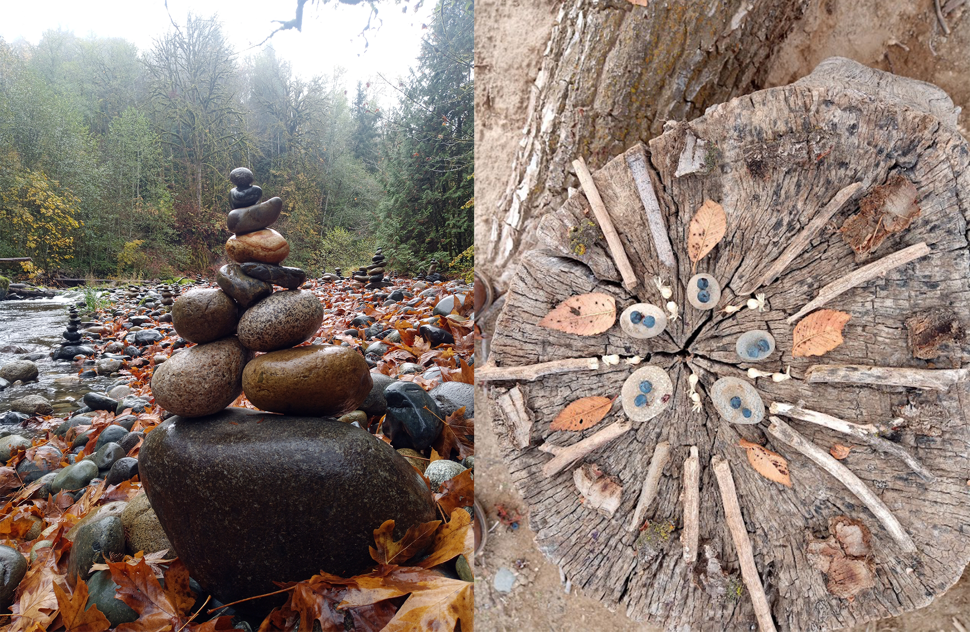 Creative coping in a chaotic world: Creating in nature