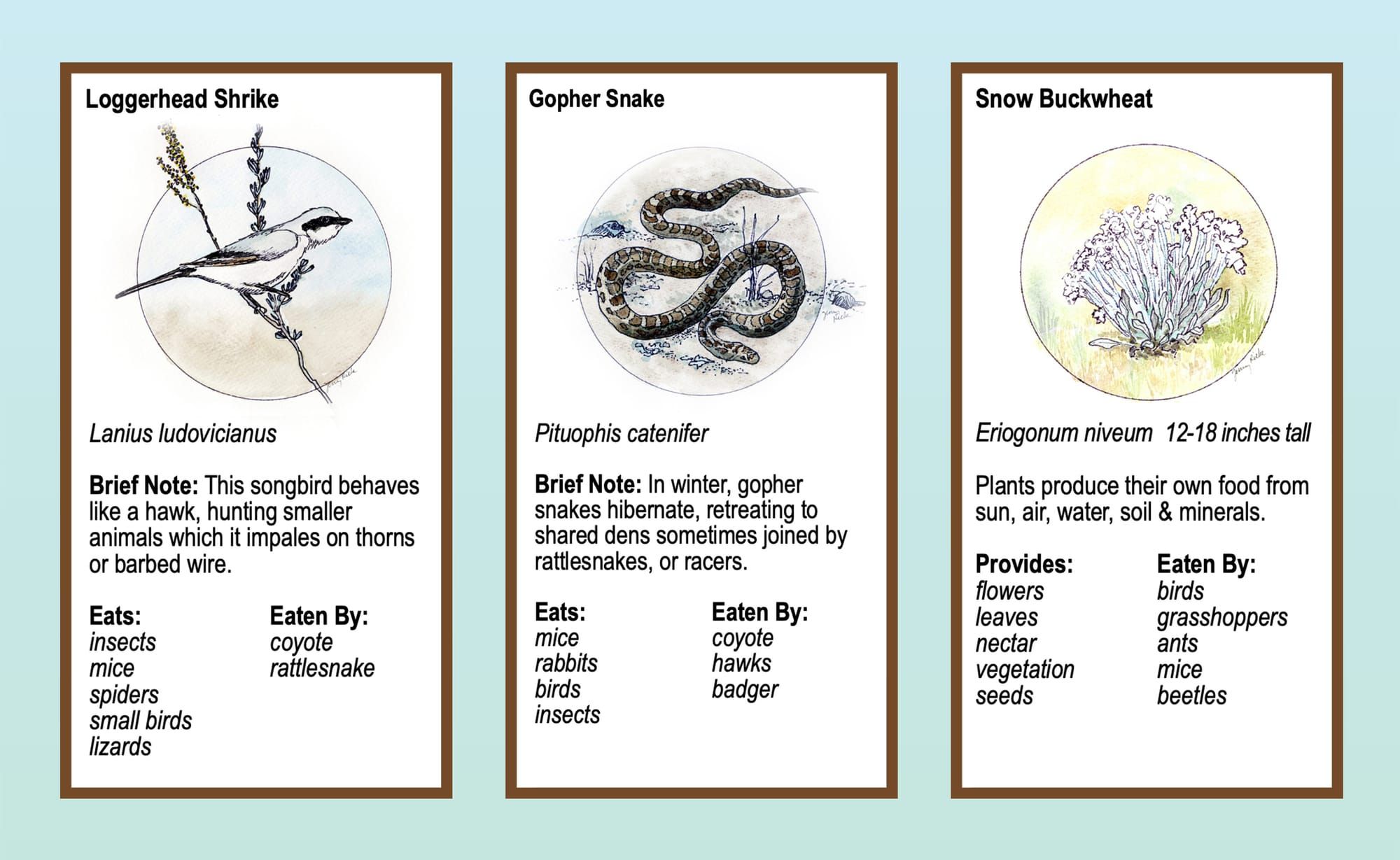Boots in the Basin: Slow time