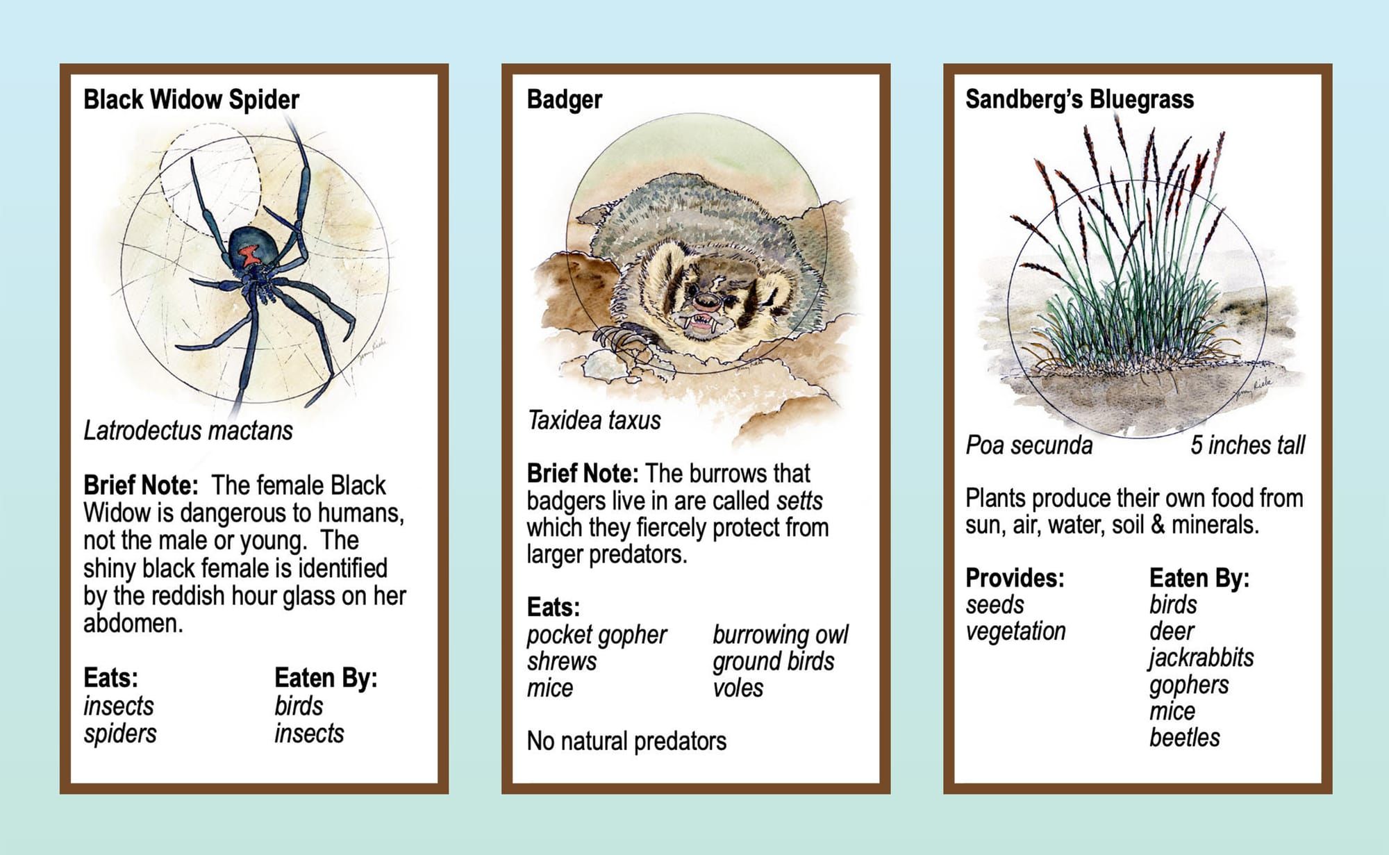Boots in the Basin: Choose hope.