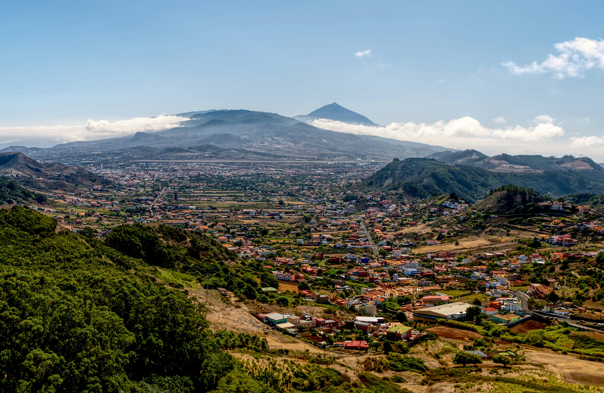 The cost of ‘order’