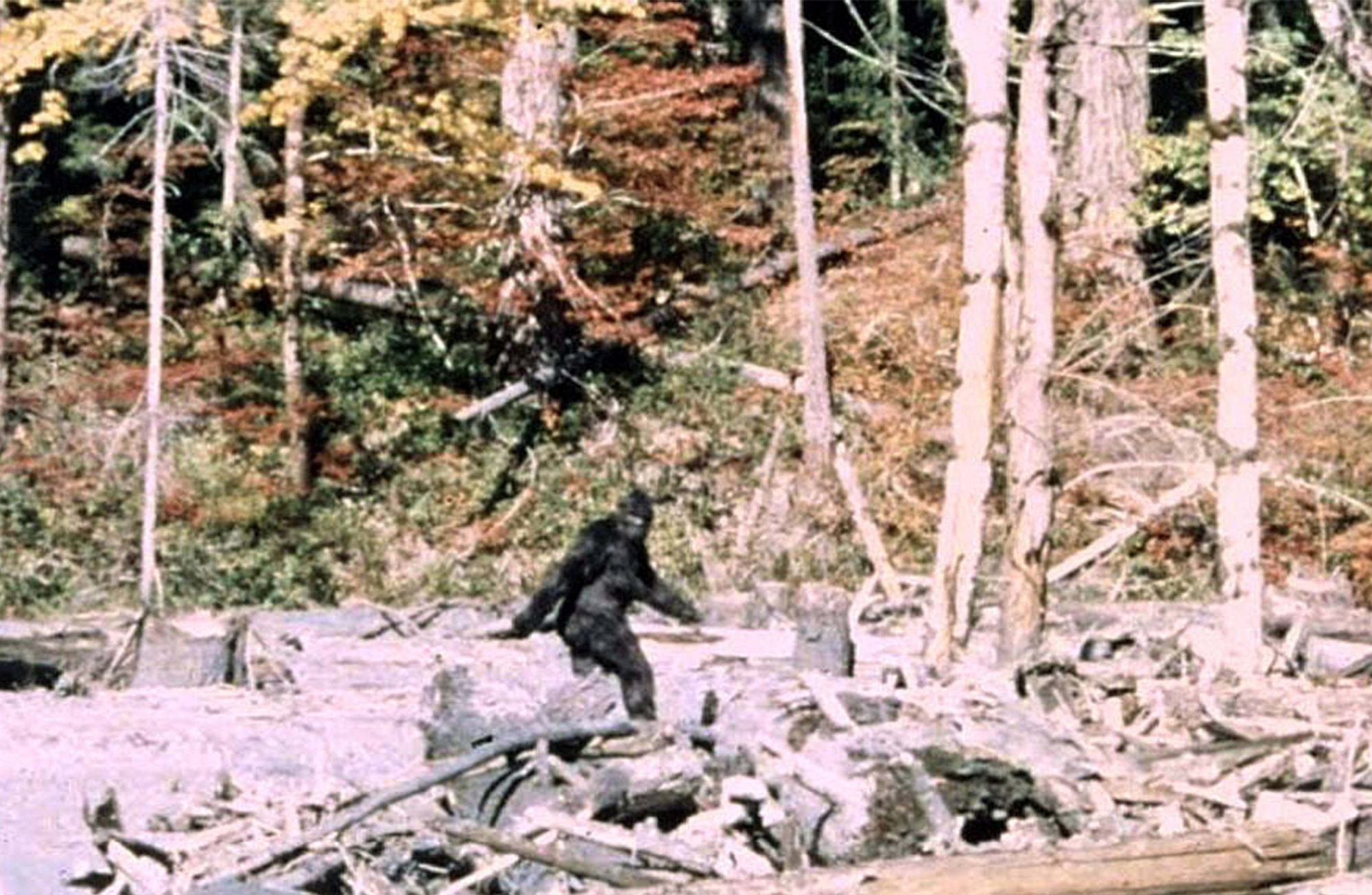 The Ape Canyon Incident