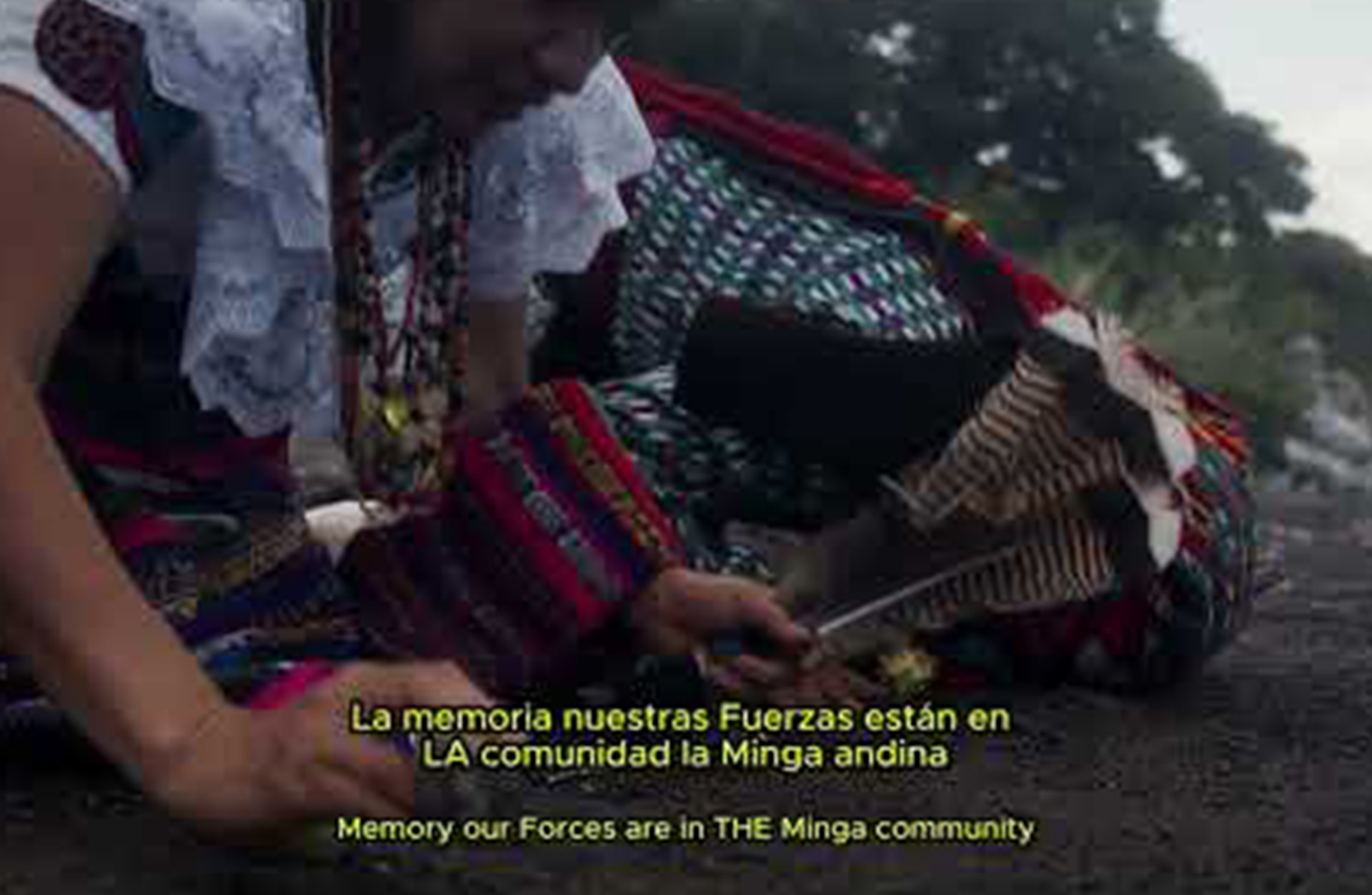 Cultura y Raíz: 300 audios para reencontrarnos con nuestra historia / Culture and Roots: 300 audio segments to reconnect with our history