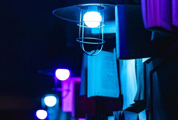 Ted’s Head: Listen, learn, act