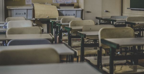 ‘Are you privileged?’