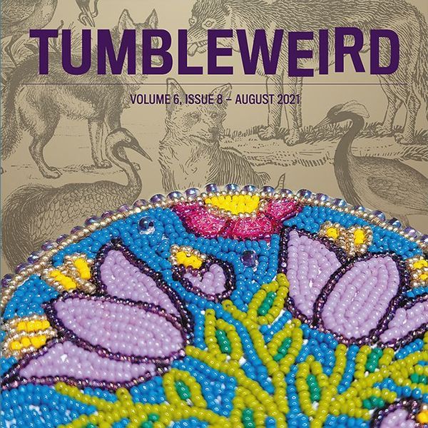 August 2021: Primary Election voting guide