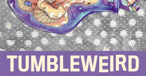 August 2022: Vote in the primaries!!!