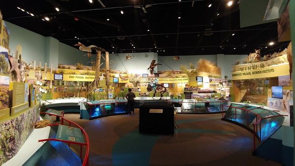 Celebrate Earth Day at the REACH