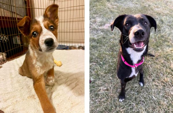 Special needs? Special indeed!