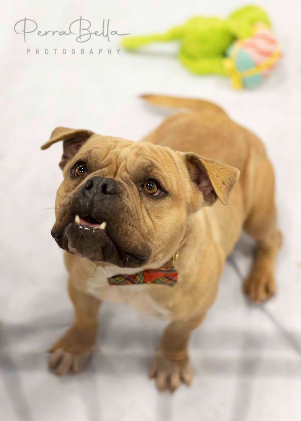 Find a Penny, pick her up, all the day you’ll have good luck!