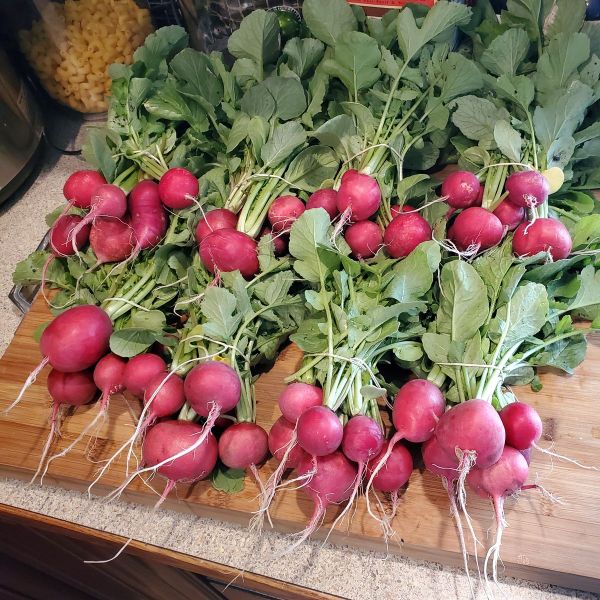 This is when the fun begins!