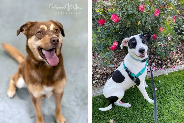 The long and winding road... home