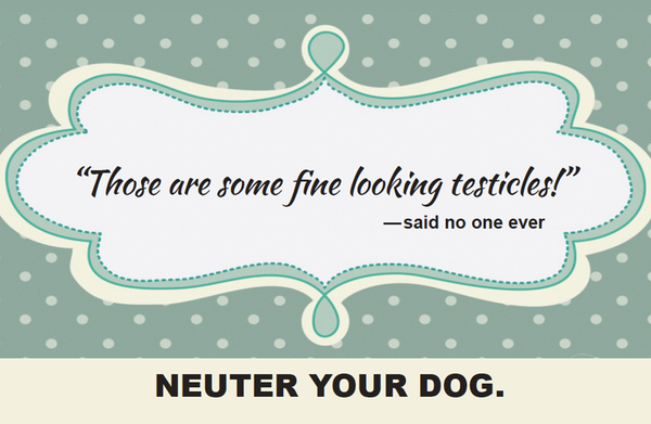 Something's got to give!