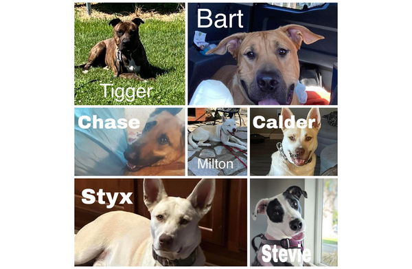 Is Anybody Out There?