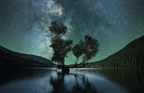 Golden Paladin: Land of Chaos #40 (Nov 2023)