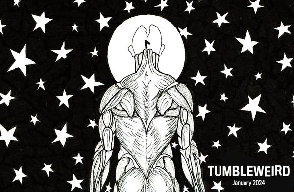 January 2024: Reach for the stars, but stay grounded.