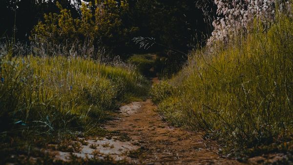 Art and poetry from Dec 2023