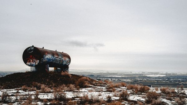 Art & Poetry from January 2024