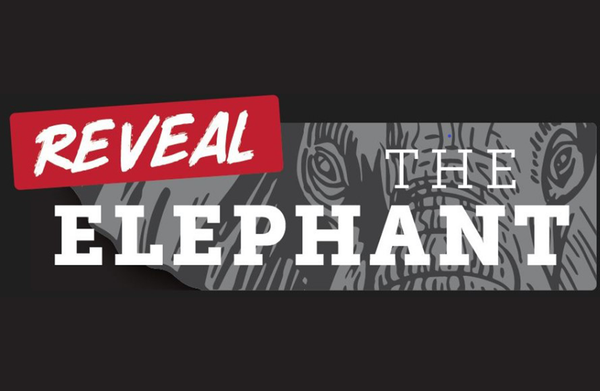 Let’s talk about the elephant in the room…