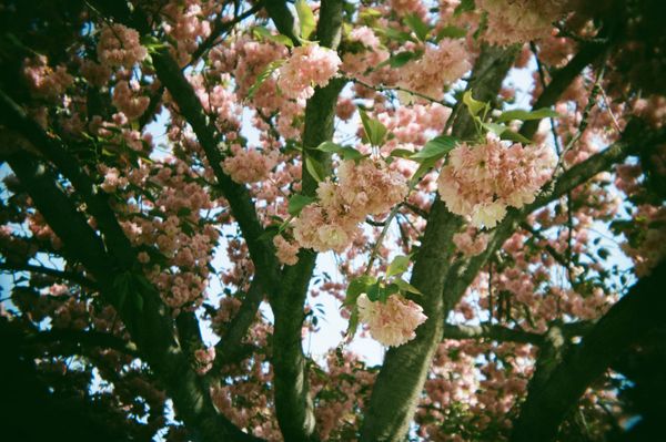 Art & Poetry for April