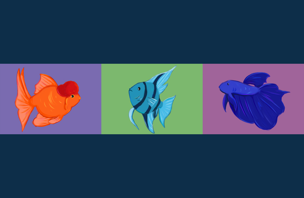 Tarot time: Express yourself!