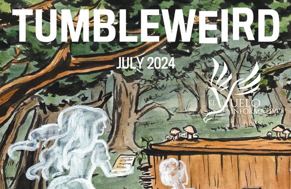 July 2024: A tale of two festivals