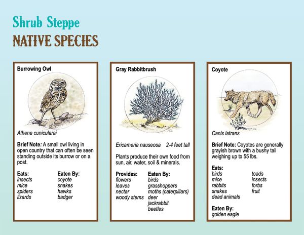 Boots in the Basin: Stewardship