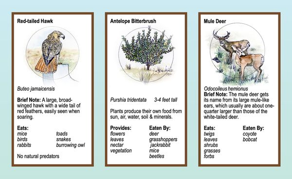 Boots in the Basin: How we learn to care