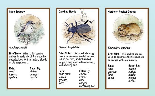 Boots in the Basin: Celebrating Earth Day