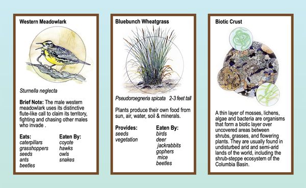 Boots in the Basin: Growing community