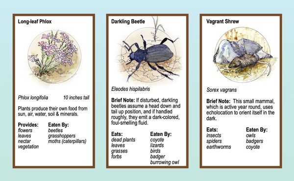 Boots in the Basin: Environmental values
