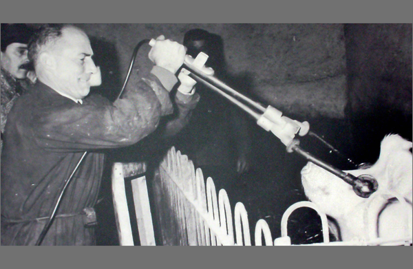 La última canción de Tío Tallito / Uncle Tallito’s last song