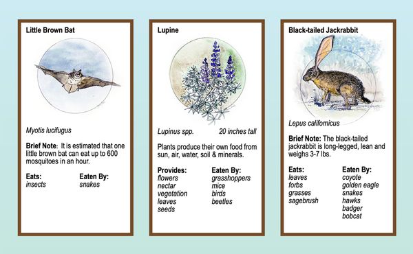 Boots in the Basin: New footing