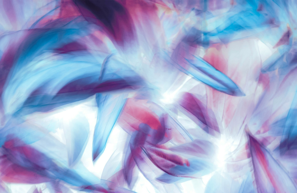 Patrones fractales / Fractal patterns