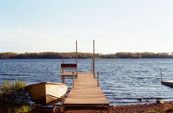 Stop and take a photo of the roses