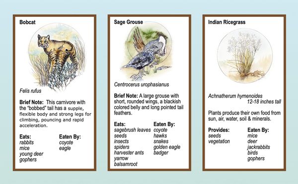 Boots in the Basin: Shrub steppe dreams