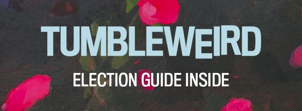 November 2025: Vote local!