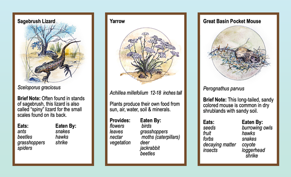 Boots in the Basin: Jane Goodall was right.