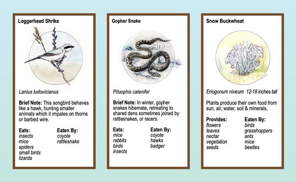 Boots in the Basin: Slow time