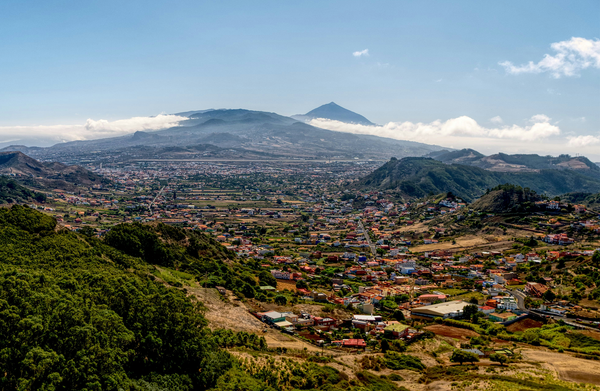 The cost of ‘order’