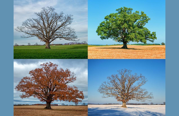 No atheists in foxholes