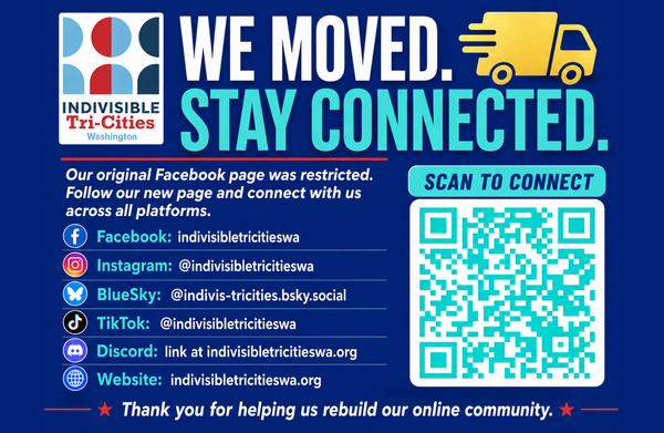 Indivisible staying visible
