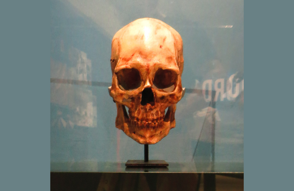 Kennewick Man: 30 years later