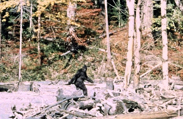 The Ape Canyon Incident