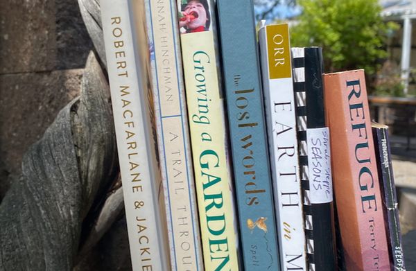 Boots in the Basin: For the love of books