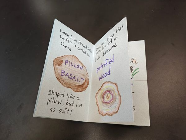 Boots in the Basin: Zine about it!