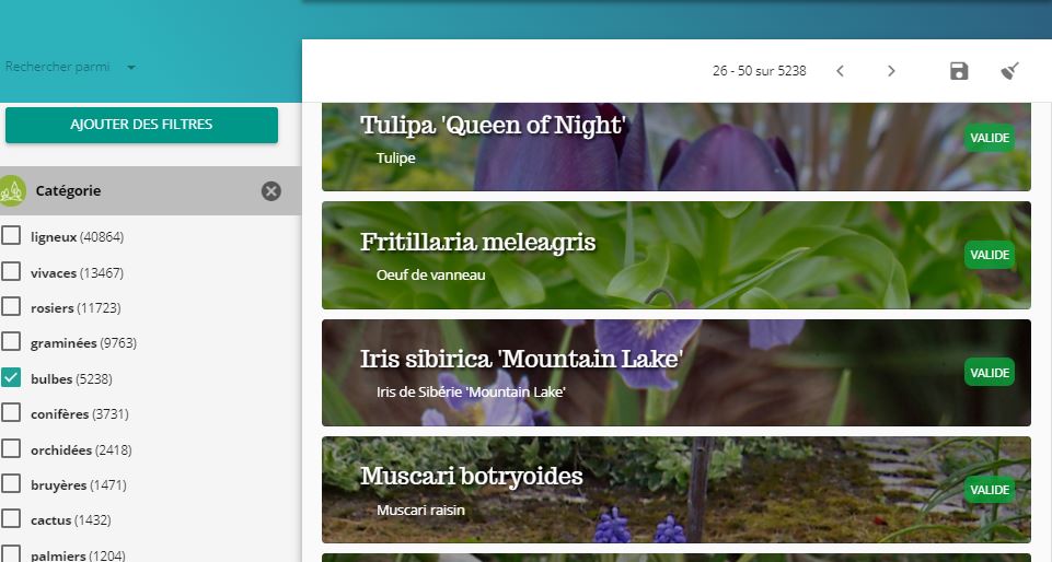 Capture-recherche-categorie-bulbes