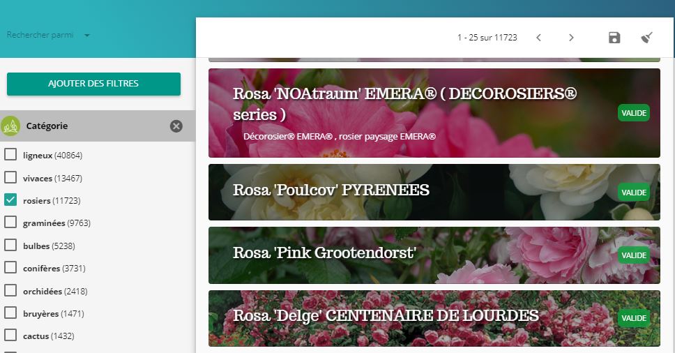 Capture-recherche-categorie-rosiers