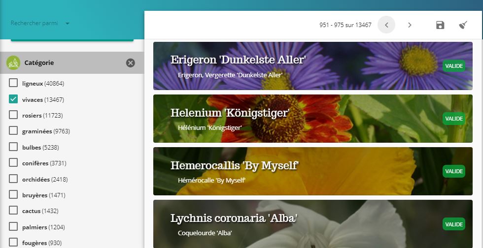 Capture-recherche-categorie-vivaces