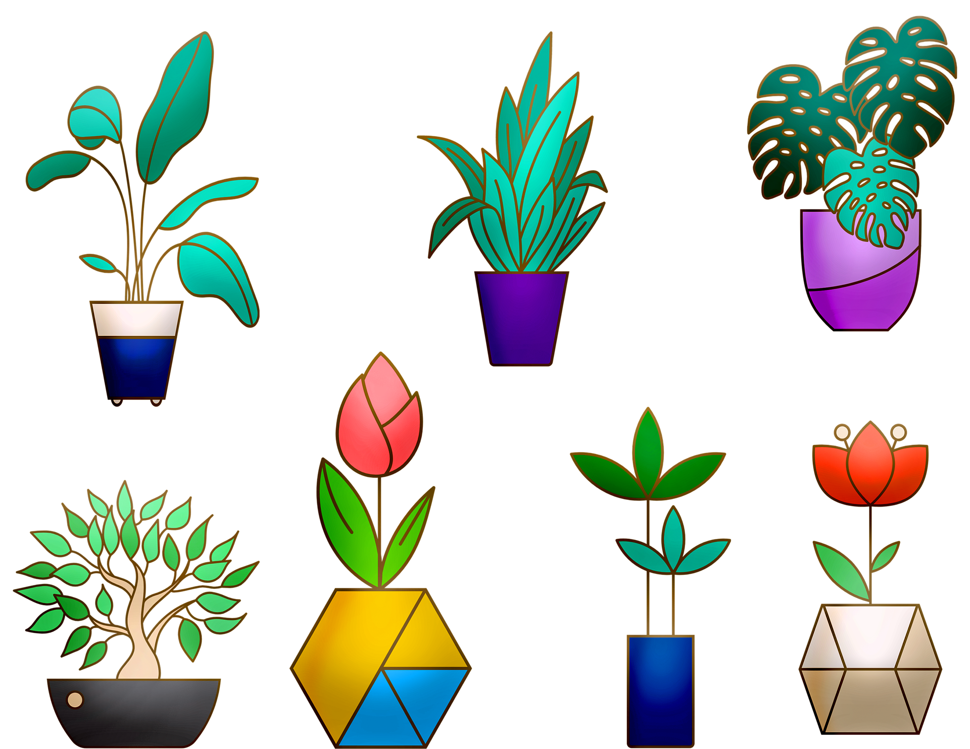 house-plants-4116992_1920