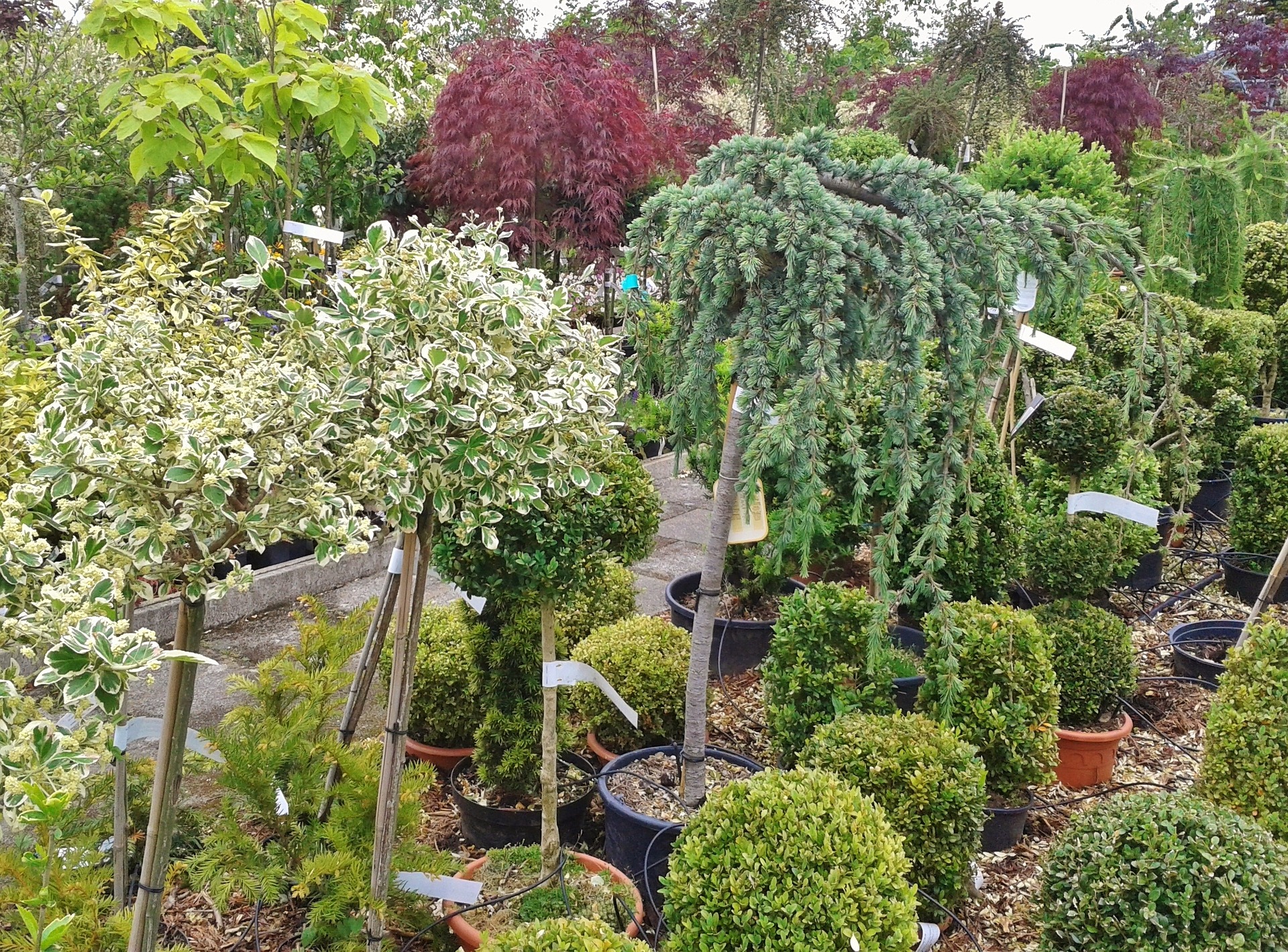 nursery-373038_1920-1